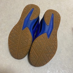 卓球 シューズ23.0センチ(ティゴラ TIGORA)の画像