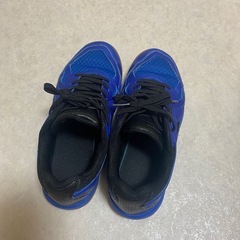 卓球 シューズ23.0センチ(ティゴラ TIGORA)の画像