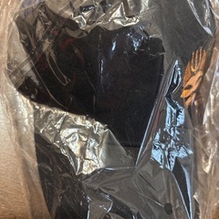 SEAL TEAM  シールチーム　新品キャップの画像