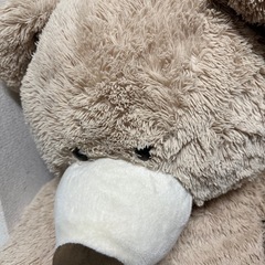 コストコ　大きなぬいぐるみの画像