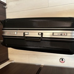 キャリーバッグの画像