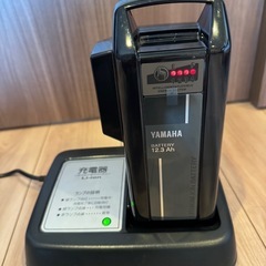 〔受け渡し予定の方決定しました〕PAS Babby 電動アシスト自転車 20インチの画像