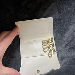 ラコステ🐊キーケースの画像