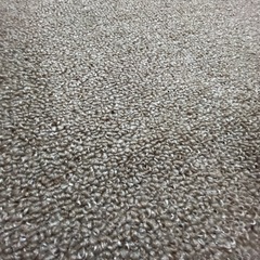 【美品】【カインズ】カーペット•ラグ6畳用の画像