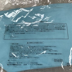 お散歩バッグ（水色）の画像