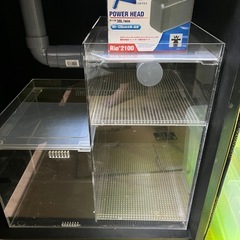 特注品オーバーフローアクリル水槽セット　淡水魚用4点セットになります‼️の画像