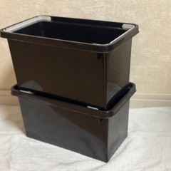 メダカ飼育ケース 20個まとめ売り／バラ購入OK［残り16個］の画像