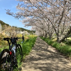 サイクリング仲間募集　