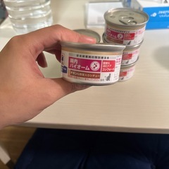 猫・ヒルズ　バイオームの画像