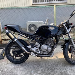 グース250 FCRの画像