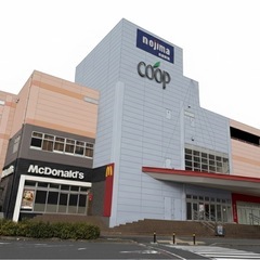 歯科衛生士の画像