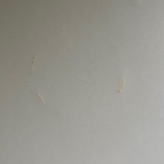 テーブル無料 !!の画像