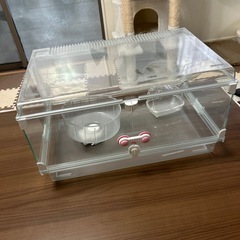 決まりました！ハムスター小屋の画像