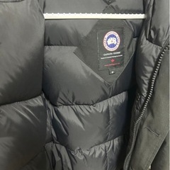 カナダグースダウンの画像