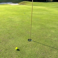 ゴルフやりませんか？⛳️