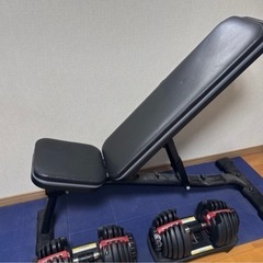 BOWFLEX 可変式ダンベル 24キロ　トレーニングベンチセットの画像