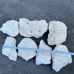 琉球石灰岩φ100〜200 【量り売り1kg〜】の画像