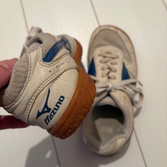 体育館シューズの画像