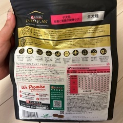 犬　ドッグフードの画像