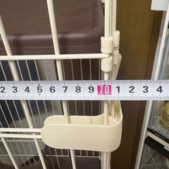 大型キャットサークルの画像