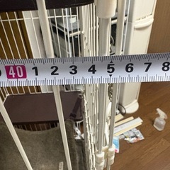 大型キャットサークルの画像