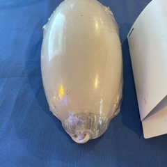 ライト２個ジャンク
の画像