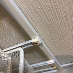 スチール　ラック　2段の画像