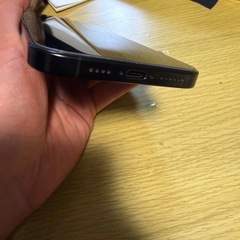 iPhone16promax   256GB 
の画像