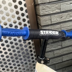 ムラサキスポーツ限定カラー　ストライダーの画像