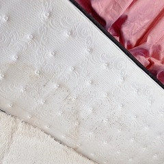 ニトリ N-sleep hard 現状販売 ヘタレなし の画像