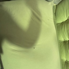 Gヨギボーマックスの画像