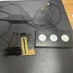 シェル2 水槽の画像