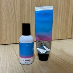 カラーシャンプー・コンディショナーセットの画像