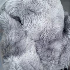 ［定価11,980円］ふわとろ毛布の画像