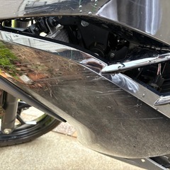 ニンジャex250lの画像