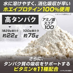 【新品】GronG プロテイン 1kg チョコレート味 国内製造の画像