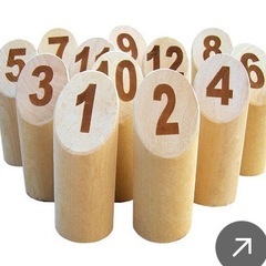 岩手県奥州市水沢モルック練習会