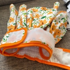 あげます！新品同様！中型犬女の子用オムツカバーの画像