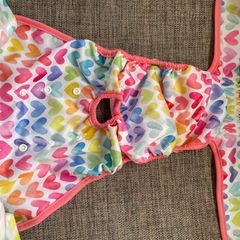 あげます！新品同様！中型犬女の子用オムツカバーの画像