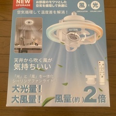 シーリングファンライト LED 小型 36W 150W相当 6畳 8畳の画像