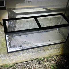 60センチ、90センチ水槽の画像