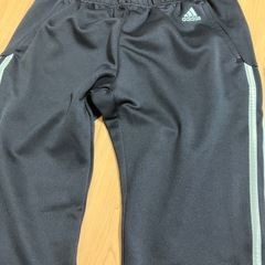 レディースジャージの画像