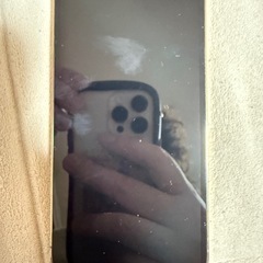 iPhone13pro iPhone11proセットですの画像