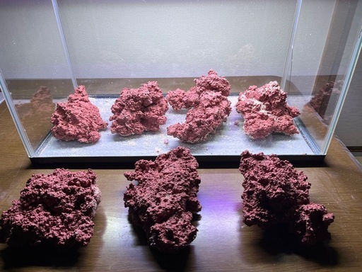 アク抜き中特価人工ライブロックセット (とら) 芦屋のその他の中古