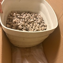 【無料　譲ります】　園芸用の小石☆白砂利の画像