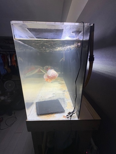 1200アクリル水槽