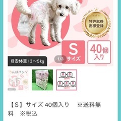 犬用うんぽパンツの画像