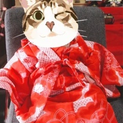 着物3歳までの画像