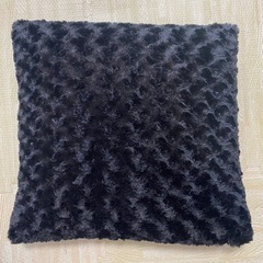 SHIMIZU SHOTA LIVE TOUR 2015 クッションの画像