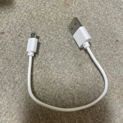 バナナリパブリックのハンディファンです☺️の画像